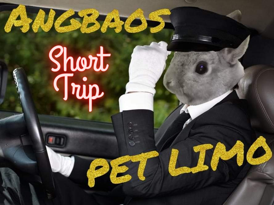 PET LIMO BOOKING